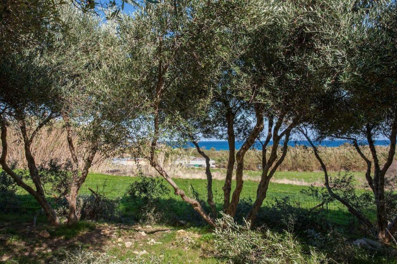 Olive Tree Farm 200M From The Beach Episkopi-Chania Eksteriør bilde