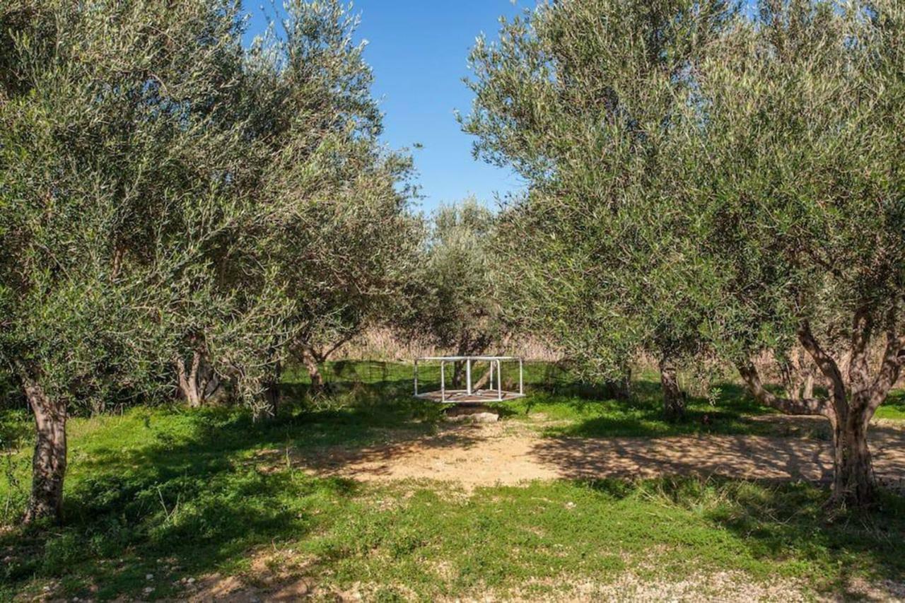 Olive Tree Farm 200M From The Beach Episkopi-Chania Eksteriør bilde