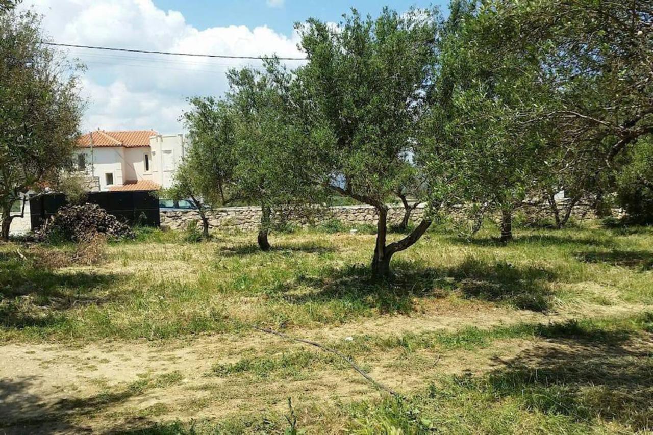 Olive Tree Farm 200M From The Beach Episkopi-Chania Eksteriør bilde