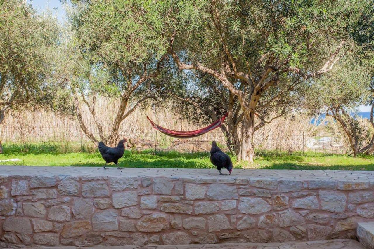 Olive Tree Farm 200M From The Beach Episkopi-Chania Eksteriør bilde